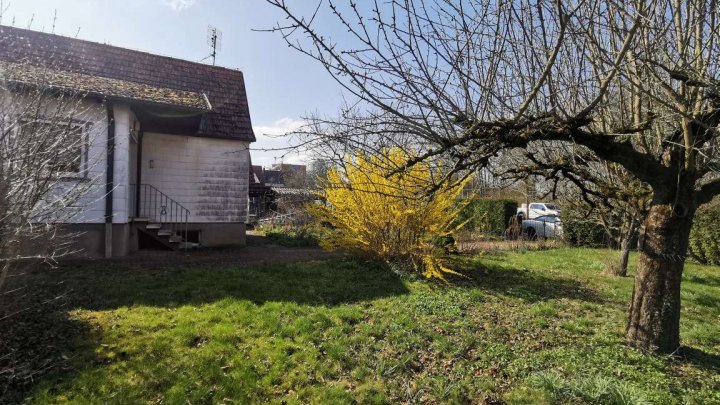 Kleines Haus auf großem Grundstück