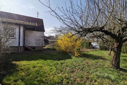 Gartenbereich