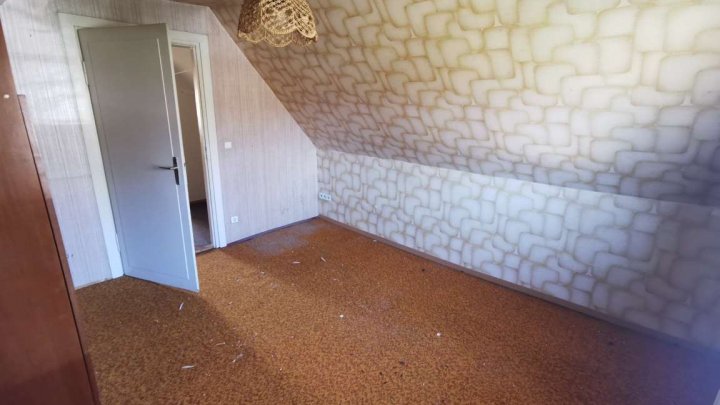 Kleines Haus auf großem Grundstück
