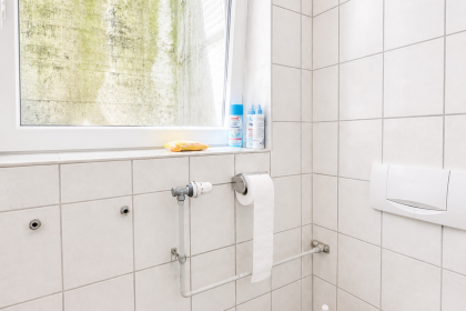 Sanitär