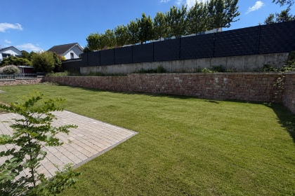 Garten KI- Rollrasen
