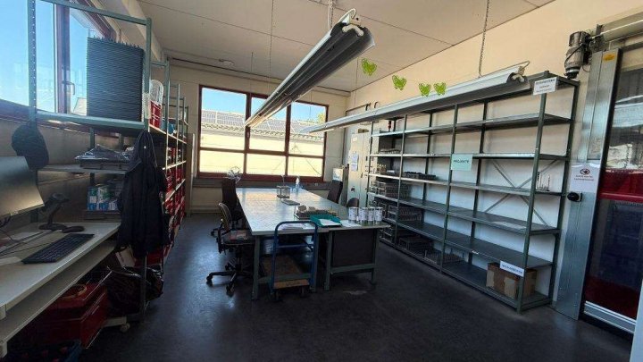 Attraktive Gewerbeimmobilie mit Büro-, Produktions- und Hallenflächen in Königsbach-Stein