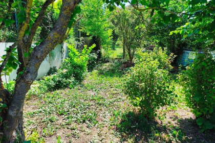Garten 4.Ansicht