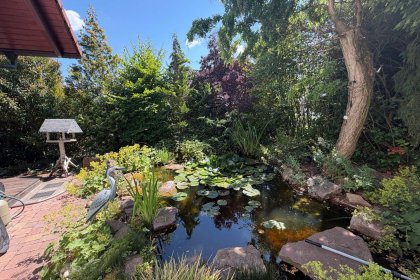 Garten mit angelegtem Teich