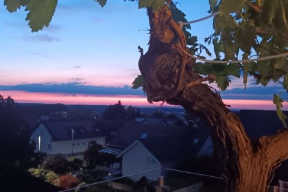 Ausblick