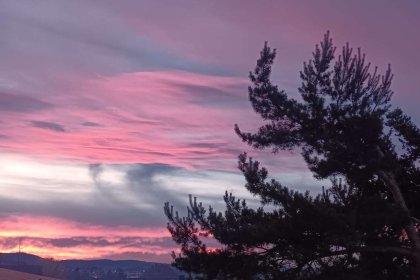 Ausblick Terrasse