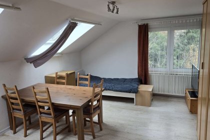 Zimmer DG