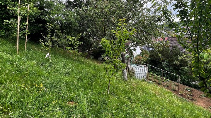 *Gepflegtes Haus mit 3 Wohnungen, Balkon, Terrasse &Garage zu verkaufen*
