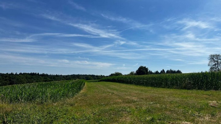 Landwirtschafts- und Waldgrundstücke ab 2,50 €/m²