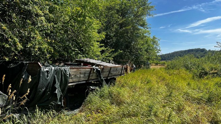 Landwirtschafts- und Waldgrundstücke ab 2,50 €/m²