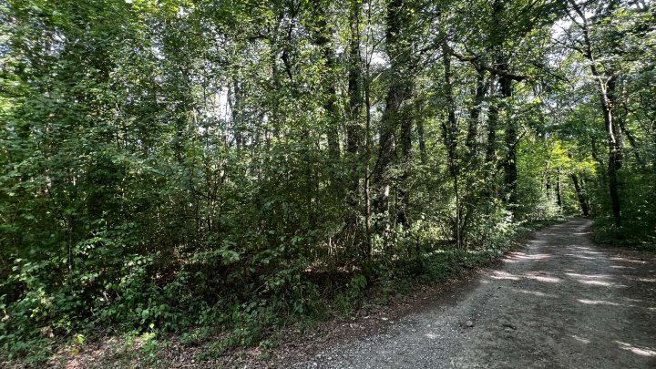Landwirtschafts- und Waldgrundstücke ab 2,50 €/m²