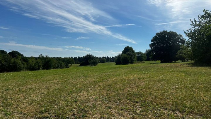 Landwirtschafts- und Waldgrundstücke ab 2,50 €/m²