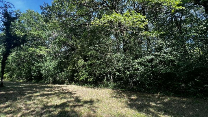 Landwirtschafts- und Waldgrundstücke ab 2,50 €/m²