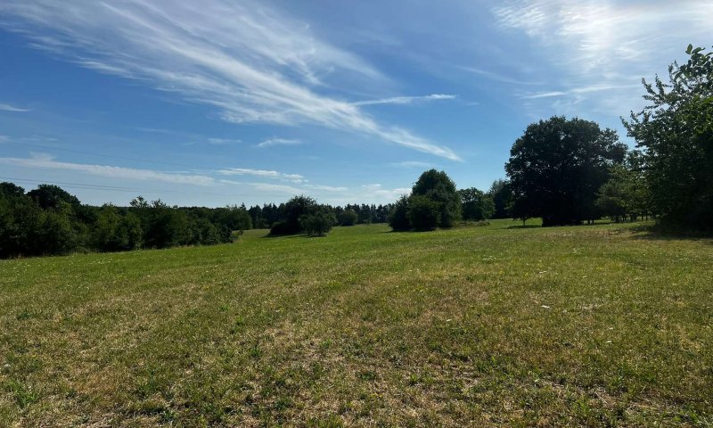 Landwirtschafts- und Waldgrundstücke ab 2,50 €/m²