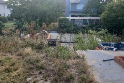 Garten 1