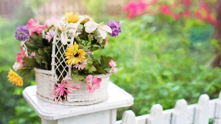 großzügiges Grundstück für Ihre Familie * grün, ebenerdig, rechteckig