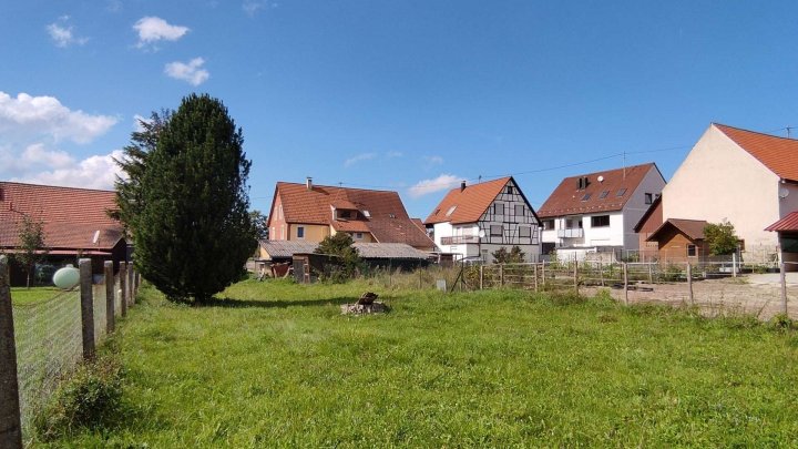 großzügiges Grundstück für Ihre Familie * grün, ebenerdig, rechteckig