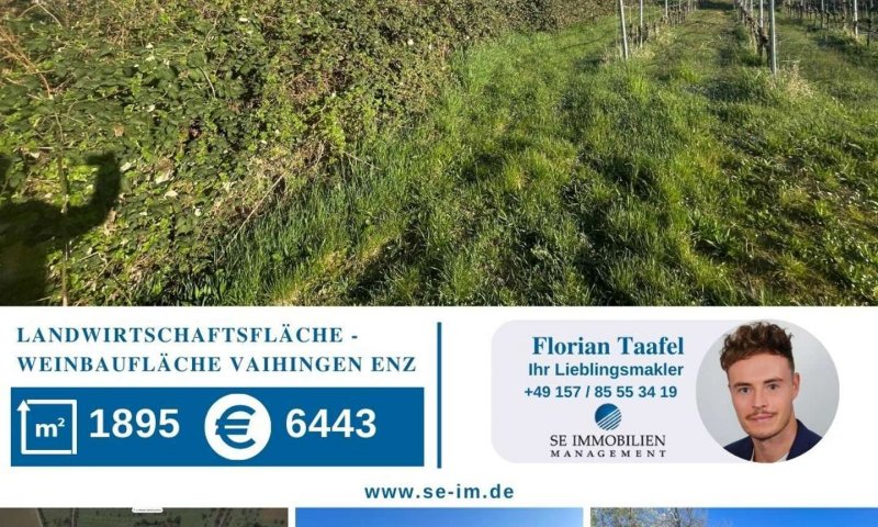 Landwirtschaftsfläche / Weinbaufläche