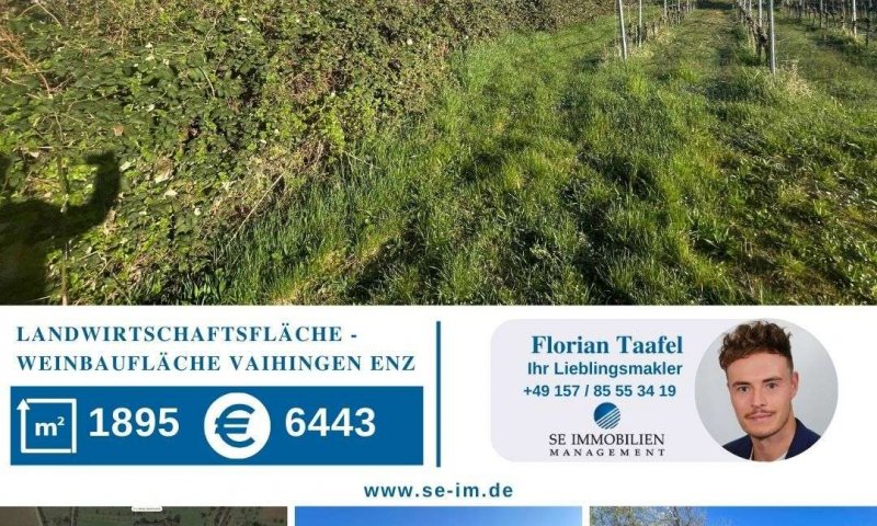 Landwirtschaftsfläche / Weinbaufläche