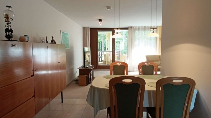 Wohnen im Grünen ! Familienfreundliche und großzügige Wohnung, zentral im Waldpark