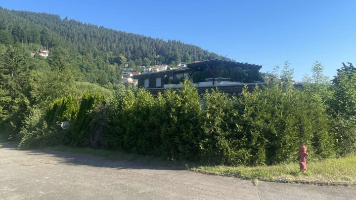 1,5 - Zi. Wohnung mit Schlafnische, Stellplatz u. Terrassen-Ausblick auf den Kurpark Bad Wildbad
