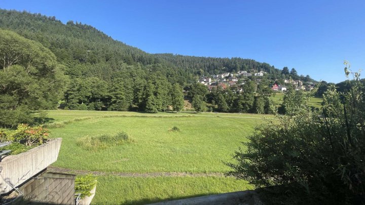 1,5 - Zi. Wohnung mit Schlafnische, Stellplatz u. Terrassen-Ausblick auf den Kurpark Bad Wildbad