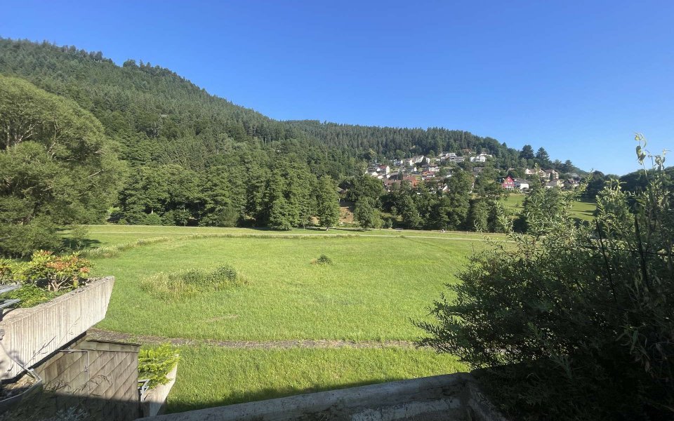 Ausblick