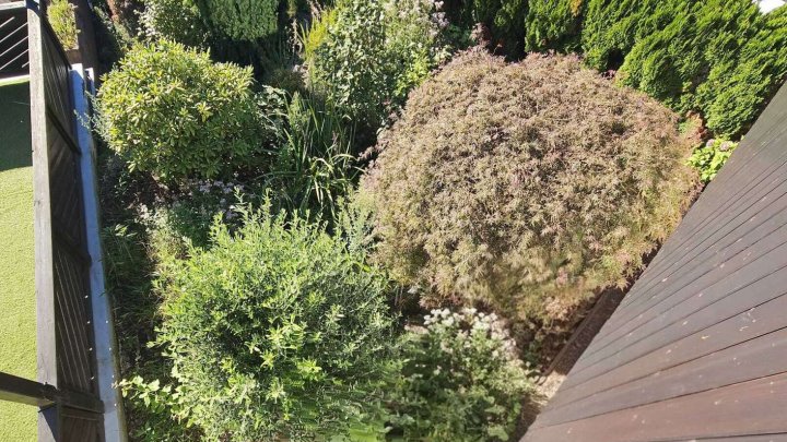 ***Gepflegtes Einfamilienhaus mit goßer Werkstatt/Garage zu verkaufen!***