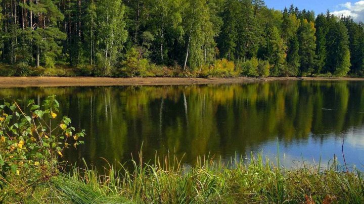 Alles was ich brauche * Tiny House inklusive Grundstück in Neuenbürg