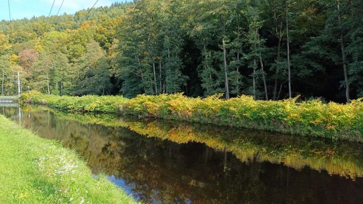 Tiny House inklusive Grundstück am Gewässer * Bezugsfertig gebaut