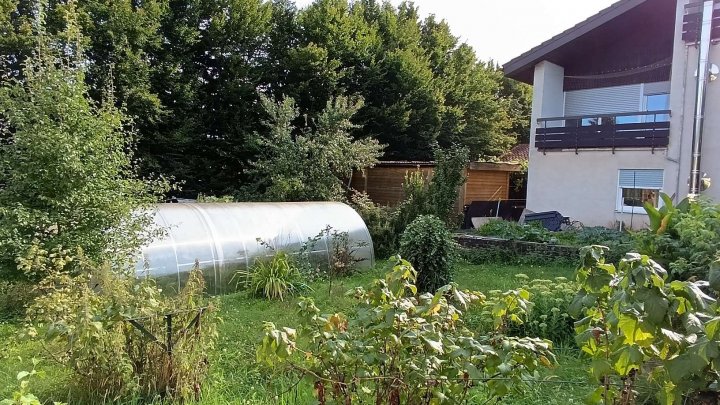 großes Haus mit 3 Einheiten mit weitläufigem Grundstück und zahlreichen Nutzungsmöglichkeiten