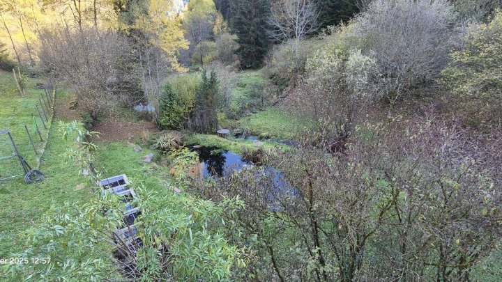 Naturfreunde aufgepasst! - Leben im Grünen - fast autark