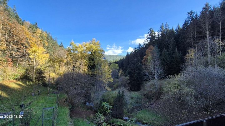 Naturfreunde aufgepasst! - Leben im Grünen - fast autark