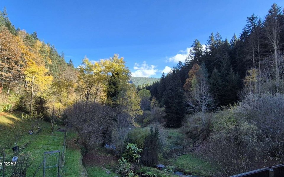 OG_Aussicht vom Balkon 2