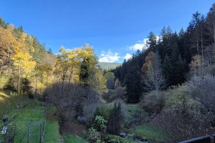 OG_Aussicht vom Balkon 2