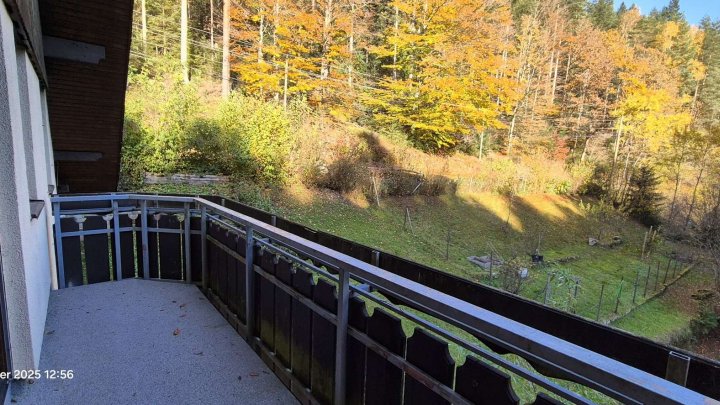 Naturfreunde aufgepasst! - Leben im Grünen - fast autark