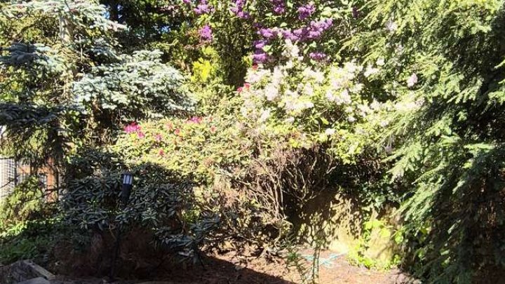 Schönes Haus mit Traumaussicht, Einliegerwohnung, schönem Garten und Garage zu verkaufen!!