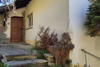Außenbilder (5)
