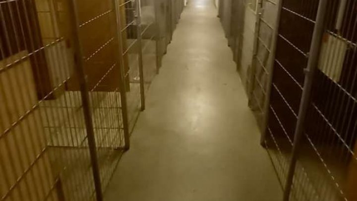 Barrierefreie 2 Zi-ETW mit XXL-Auto-Stellplatz