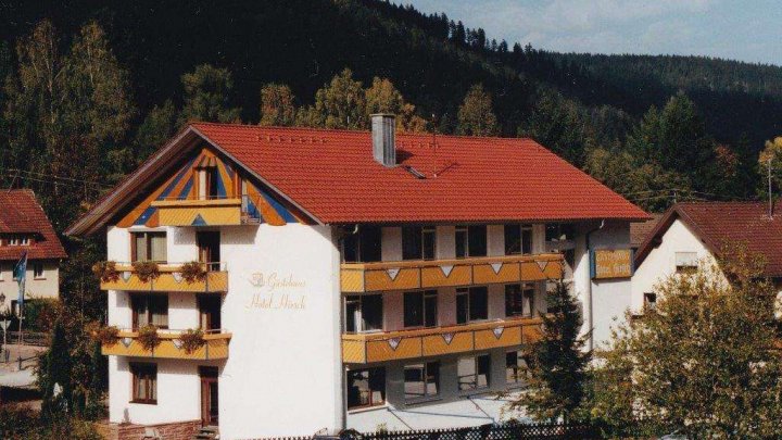 ***Großes, schönes Haus mit Blick auf die Schwarzwaldberge zu verkaufen***