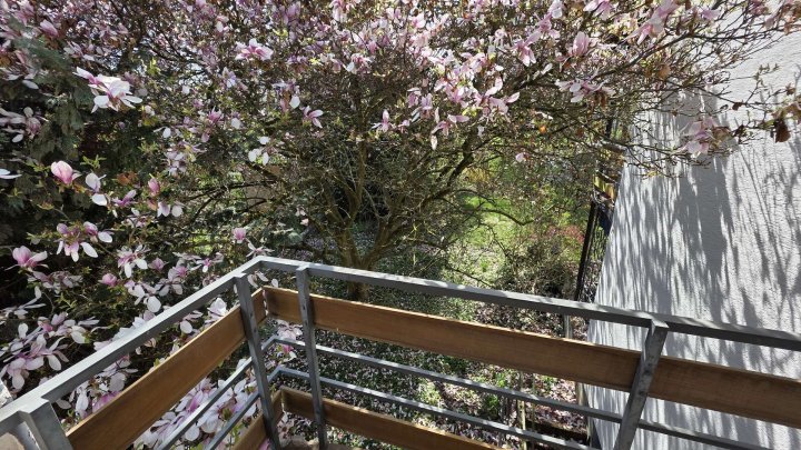 Attraktives Zweifamilienhaus mit großem Grundstück, PV-Anlage & Ausbaupotenzial in ruhiger Lage