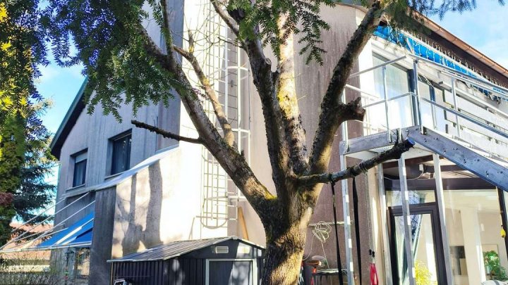 Großfamilien, Investoren aufgepasst - Ihre Traumoase im Schwarzwald!!!