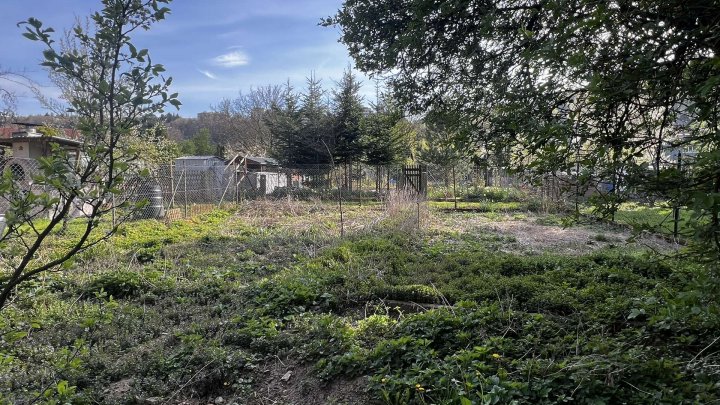 Sanierungsobjekt mit Scheune & großem Garten in zentraler Lage zu verkaufen