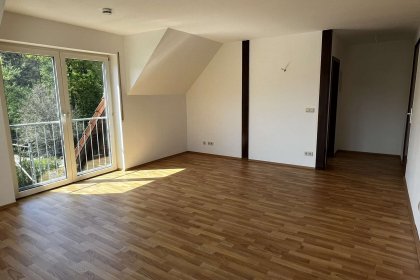 Wohn-Esszimmer (4)
